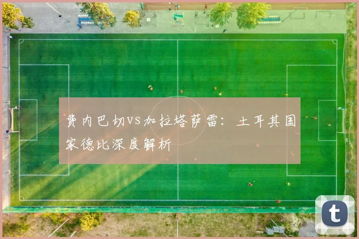 费内巴切vs加拉塔萨雷:土耳其国家德比深度解析