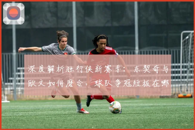深度解析独行侠新赛季：东契奇与欧文如何磨合，球队争冠短板在哪？